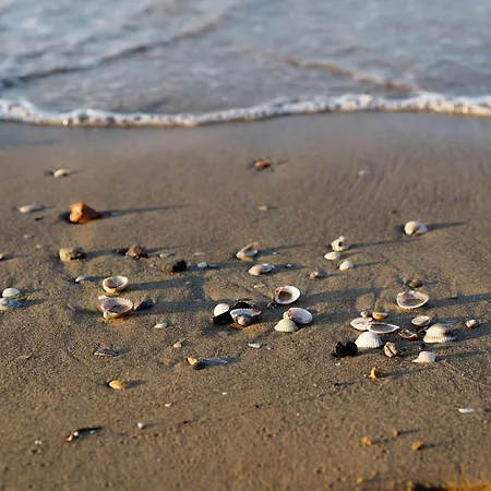 Welcoming Seaside Flat Ideal For 5 Guests Bibione