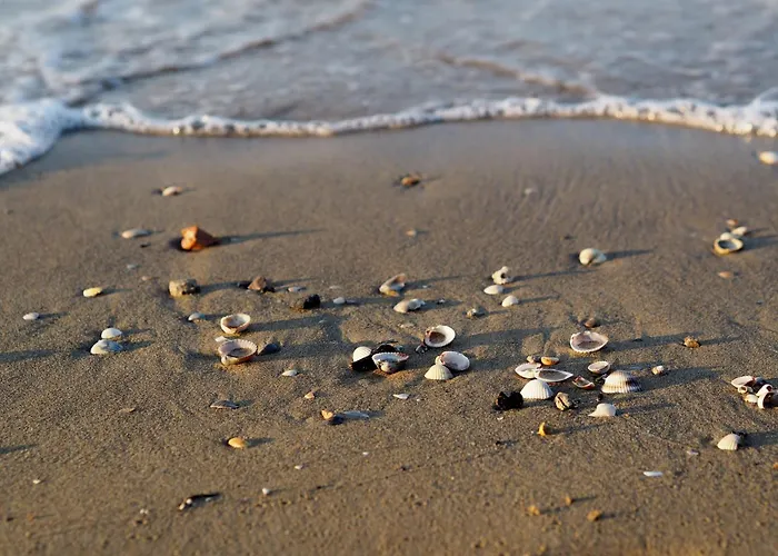 Welcoming Seaside Flat Ideal For 6 Guests Bibione