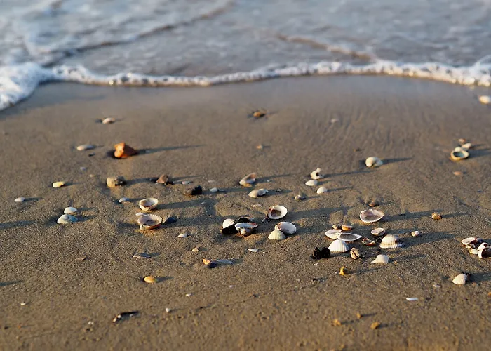 Welcoming Seaside Flat Ideal For 6 Guests Lejlighed Bibione